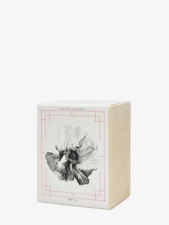 Ghost Flower Candle in ><noscript><img width=