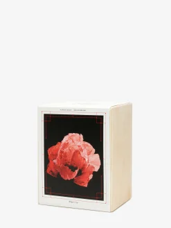Savage Bloom Candle in ><noscript><img width=